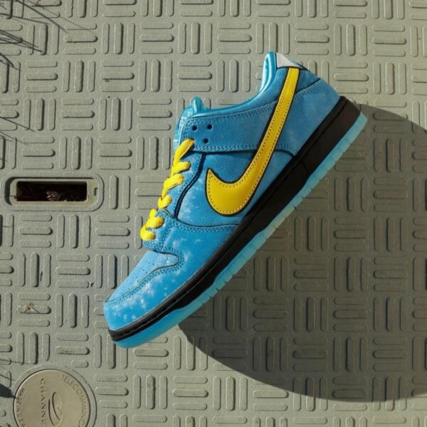 Nike SB Dunk Low Pro x