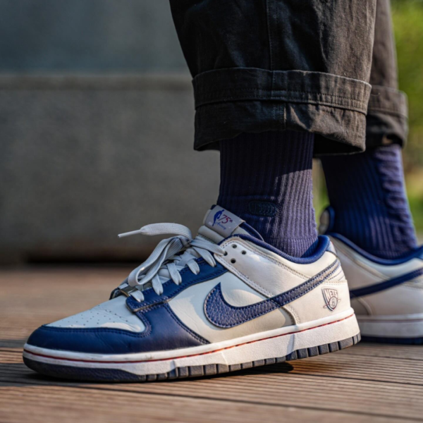 Nike Dunk X NBA
