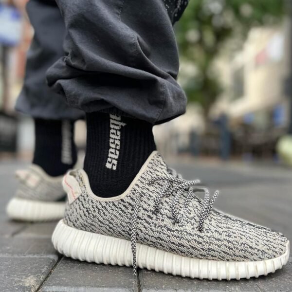 adidas Yeezy Boost 350 Turtledove
