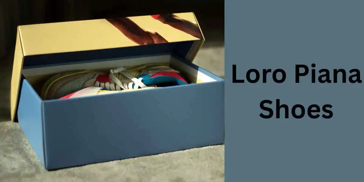 Loro Piana Shoes