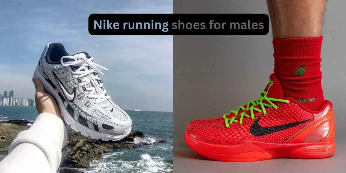 Nike running shoes for males